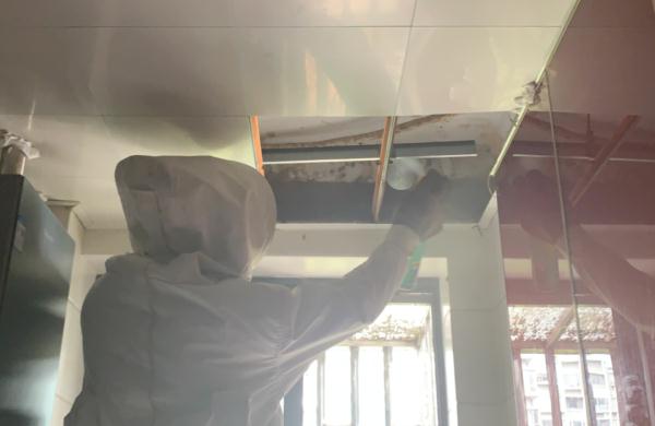 去阳台晒衣服，开门后吓一大跳！高峰期来了，还会越来越多