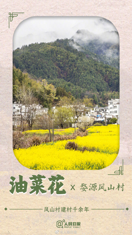 收藏！春花就要配上中国传统古建才绝美啊