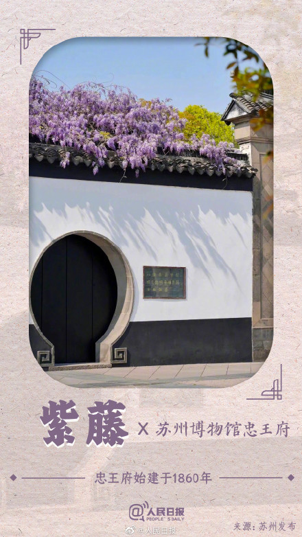 收藏！春花就要配上中国传统古建才绝美啊