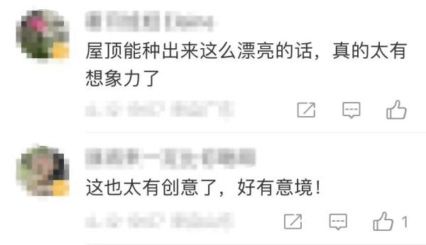 上海又新增打卡点？一张照片全网刷屏后，网友吵翻了！最新消息→