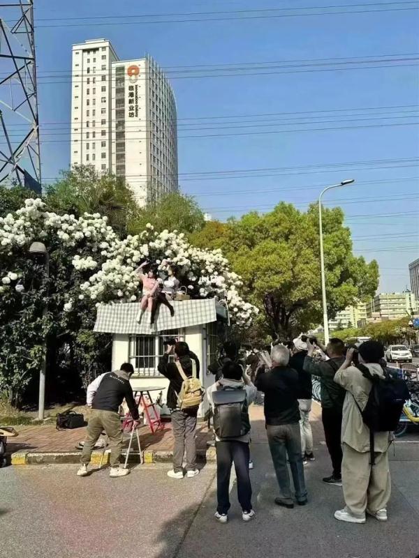 上海一闲置治安亭竟被网红攀爬拍照?最新消息:即将拆除! 上海一闲置治安亭竟被网红攀爬拍照?最新消息:即将拆除!