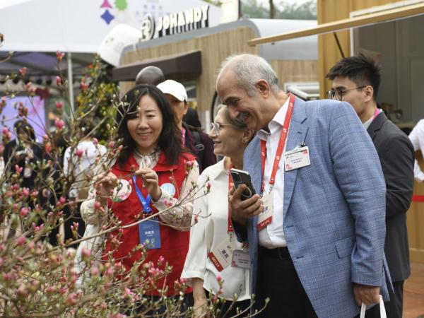 开放、创新与发展环境：“鲜花盛开”背后的深圳高质量发展之路