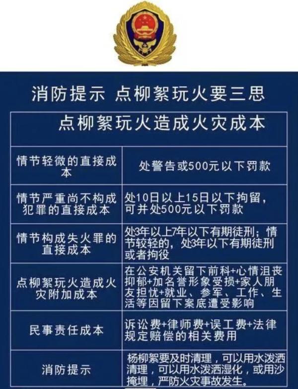 大学生点柳絮被举报，后续来了......