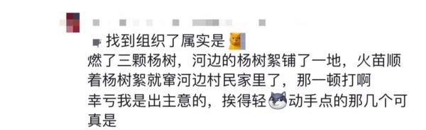 大学生点柳絮被举报，后续来了......