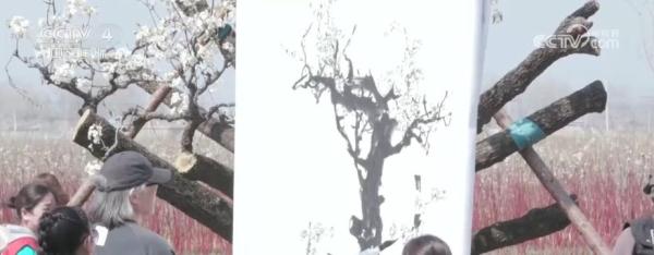 “春游经济”迎高峰 游客沉浸式畅游山水 乡村游持续升温