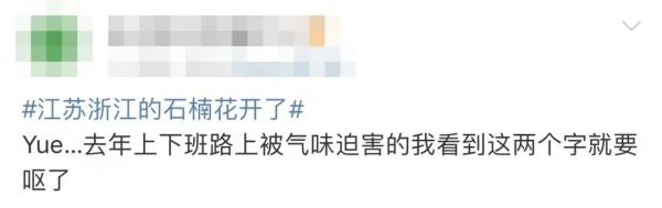 “臭”上热搜！这些“臭臭花”南宁也有！