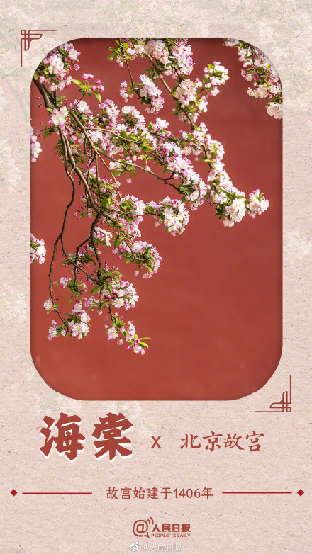 收藏！春花就要配上中国传统古建才绝美啊