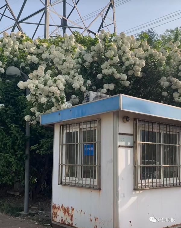 上海又新增打卡点？一张照片全网刷屏后，网友吵翻了！最新消息→