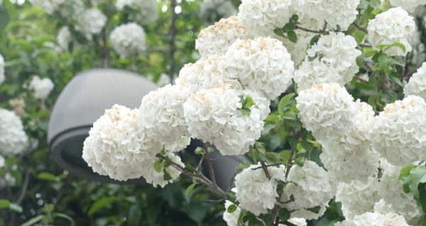 上海一闲置治安亭竟被网红攀爬拍照?最新消息:即将拆除! 上海一闲置治安亭竟被网红攀爬拍照?最新消息:即将拆除!