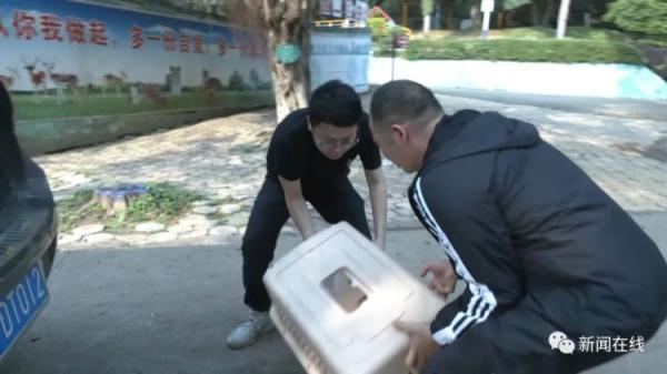 买下48斤大蟒蛇，他要干嘛？