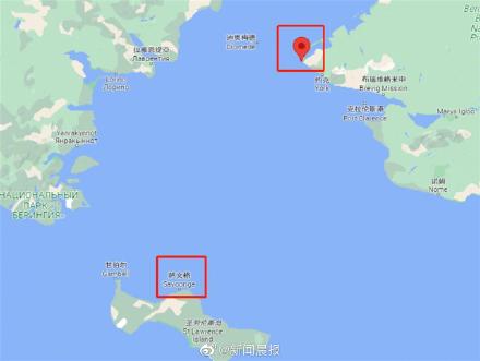 失踪一个月,美国一只牧羊犬游了241公里穿越白令海峡获救 失踪一个月,美国一只牧羊犬游了241公里穿越白令海峡获救