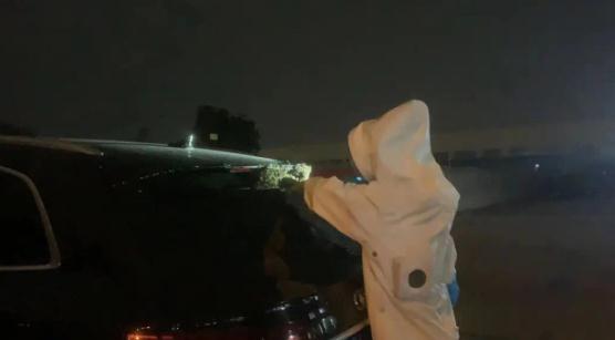 去阳台晒衣服，开门后吓一大跳！高峰期来了，还会越来越多