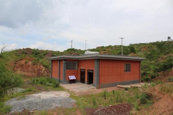 真•中国龙,云南确认两个中国龙属新物种 真•中国龙,云南确认两个中国龙属新物种