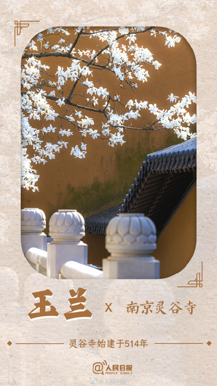 收藏！春花就要配上中国传统古建才绝美啊