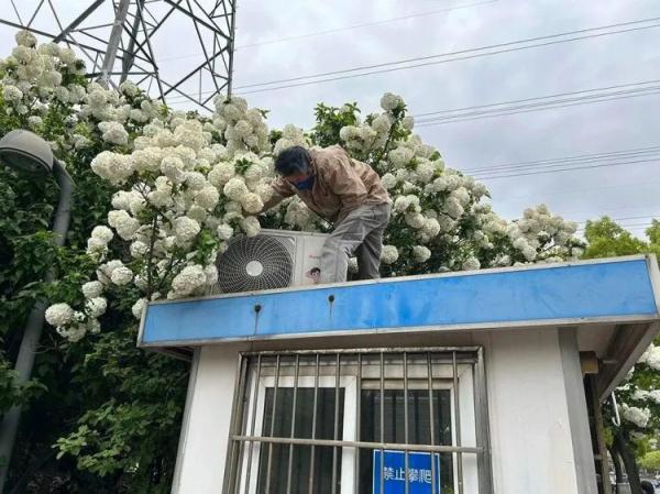 冒险拍“网红照”，主打一个惊心动魄！网友吵翻