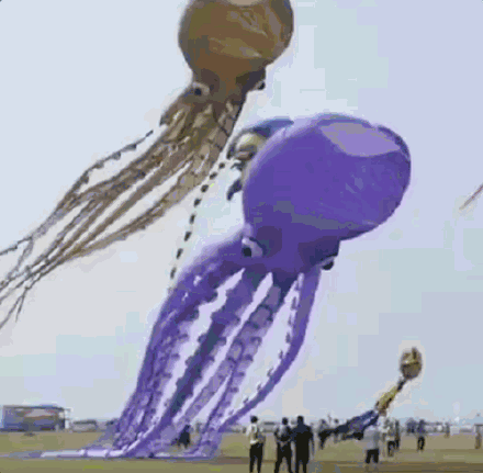 山东175米长龙头蜈蚣风筝飞上天