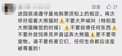 成都大熊猫基地官方通报！