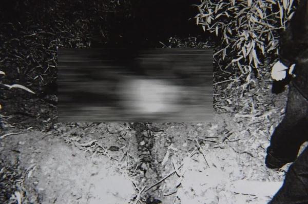 �㽭19��ǰ��׮���������ƣ�