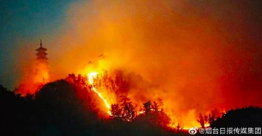 一地突发山火,嫌疑人落网!1800多人现场救援 一地突发山火,嫌疑人落网!1800多人现场救援