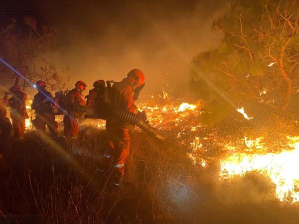 一地突发山火,嫌疑人落网!1800多人现场救援 一地突发山火,嫌疑人落网!1800多人现场救援