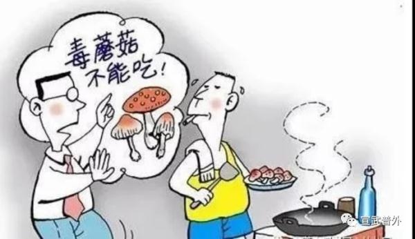 踏青出游，远离毒蘑菇