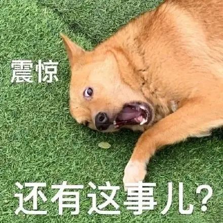 驾驶座车窗伸出一只脚,怎么回事? 驾驶座车窗伸出一只脚,怎么回事?