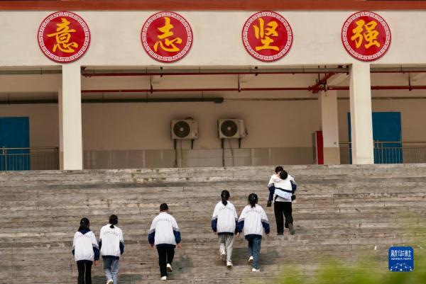 兄弟，让我背你上大学