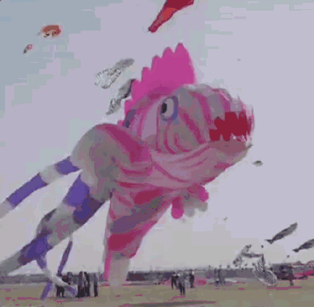 山东175米长龙头蜈蚣风筝飞上天