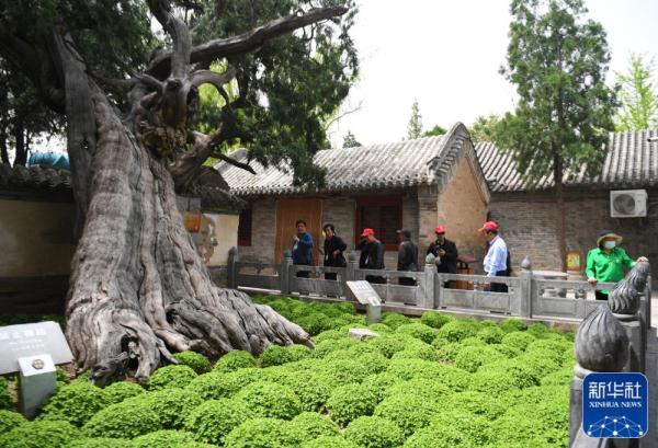 河南登封:文旅文创深融合 嵩山少林来客多 河南登封:文旅文创深融合 嵩山少林来客多