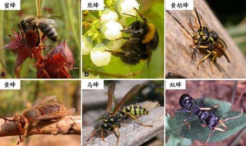 严重可致死!西安24小时内接到8起… 紧急提示:这些事千万别做! 严重可致死!西安24小时内接到8起… 紧急提示:这些事千万别做!