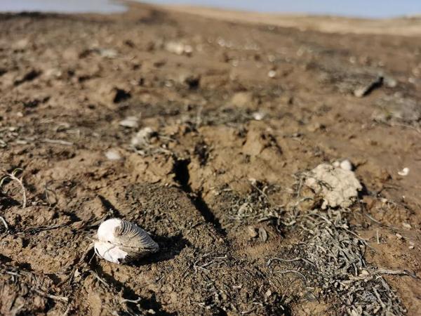 8个月后,鄱阳湖终于“解渴”了 8个月后,鄱阳湖终于“解渴”了