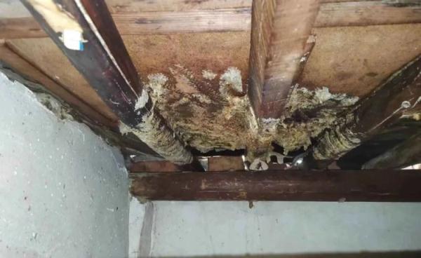 严重可致死!西安24小时内接到8起… 紧急提示:这些事千万别做! 严重可致死!西安24小时内接到8起… 紧急提示:这些事千万别做!