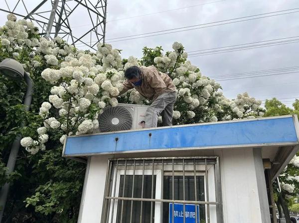 保安亭被拆  “试胆石”被砸，打卡拍照别任性