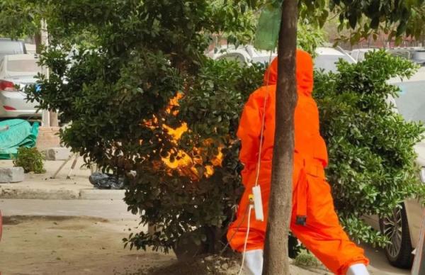 严重可致死!西安24小时内接到8起… 紧急提示:这些事千万别做! 严重可致死!西安24小时内接到8起… 紧急提示:这些事千万别做!