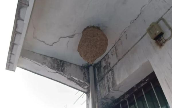 严重可致死!西安24小时内接到8起… 紧急提示:这些事千万别做! 严重可致死!西安24小时内接到8起… 紧急提示:这些事千万别做!