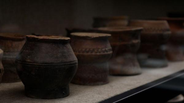 李默然 ：三星村遗址考古发掘工作近期再次启动 中华文明探源工作有望进一步推进