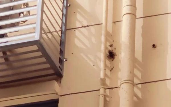 严重可致死!西安24小时内接到8起… 紧急提示:这些事千万别做! 严重可致死!西安24小时内接到8起… 紧急提示:这些事千万别做!