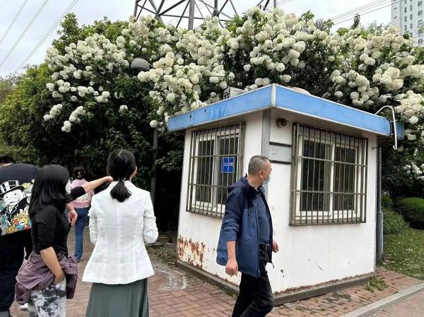 保安亭被拆  “试胆石”被砸，打卡拍照别任性
