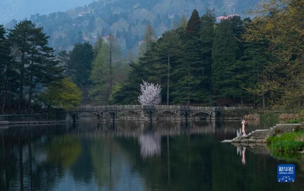 江西:春和景明引游人 江西:春和景明引游人