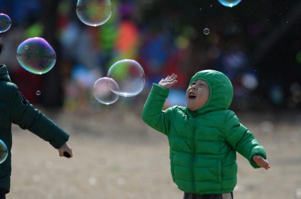 你见过春风的样子么？