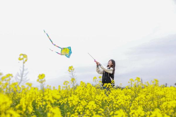 你见过春风的样子么？