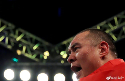 祝贺！张志磊获WBO过渡拳王金腰带