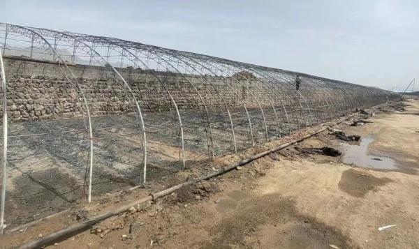 养殖户的悲剧，家畜成“黑炭”…