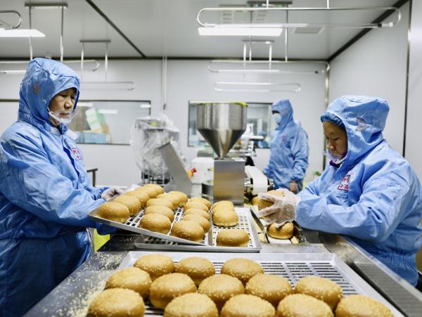 河北宁晋:“一村一品”宜业富民 河北宁晋:“一村一品”宜业富民