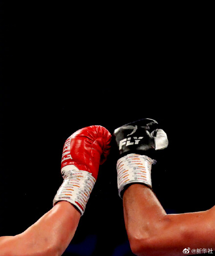 祝贺！张志磊获WBO过渡拳王金腰带