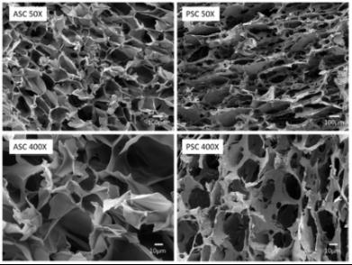 冲上热搜!女子为救助被剥皮的流浪猫,花2万给猫植鱼皮 冲上热搜!女子为救助被剥皮的流浪猫,花2万给猫植鱼皮