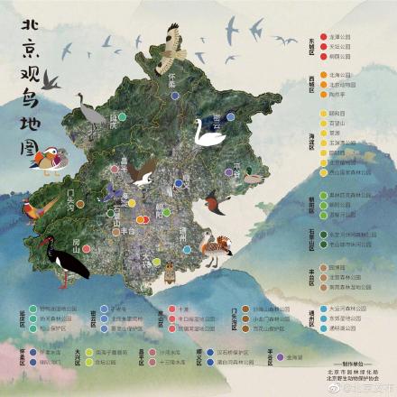 新版北京市陆生野生动物名录发布！再增12个鸟类物种