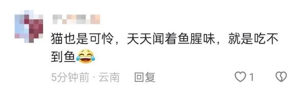 冲上热搜!女子为救助被剥皮的流浪猫,花2万给猫植鱼皮 冲上热搜!女子为救助被剥皮的流浪猫,花2万给猫植鱼皮