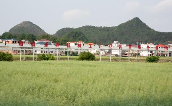 贵州：水稻育秧集中化 “流水线”上生产忙