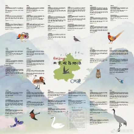 新版北京市陆生野生动物名录发布！再增12个鸟类物种